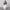 Drawstring Elastic Waist Loose Pants With Pockets