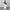 Drawstring Elastic Waist Loose Pants With Pockets