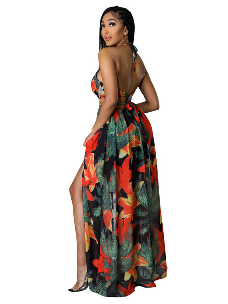 Halter Neck Backless Printed Maxi Dress