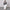 Drawstring Elastic Waist Loose Pants With Pockets