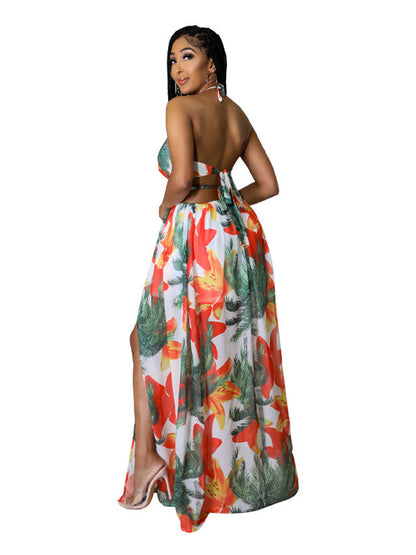 Halter Neck Backless Printed Maxi Dress