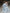 Cross_Collar_Tie_Waist-cinching_Jacquard_Flowy_Maxi_Dress_6