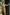 Gilded_Flower_Belt_Floral_Midi_Dress_2