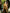 Gilded_Flower_Belt_Floral_Midi_Dress_4