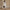 Long Sleeve Cross-Neck Belted Open Front Coat