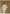 Slanted_Collar_Linen_Silhouette_Old_Money_Style_Half_Sleeve_Top_3